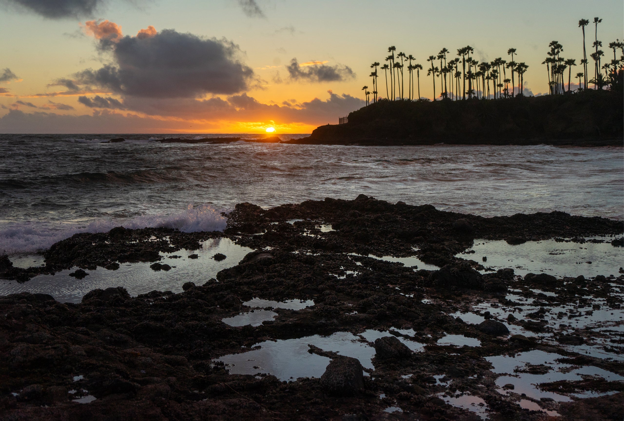 Ocean Sunsets