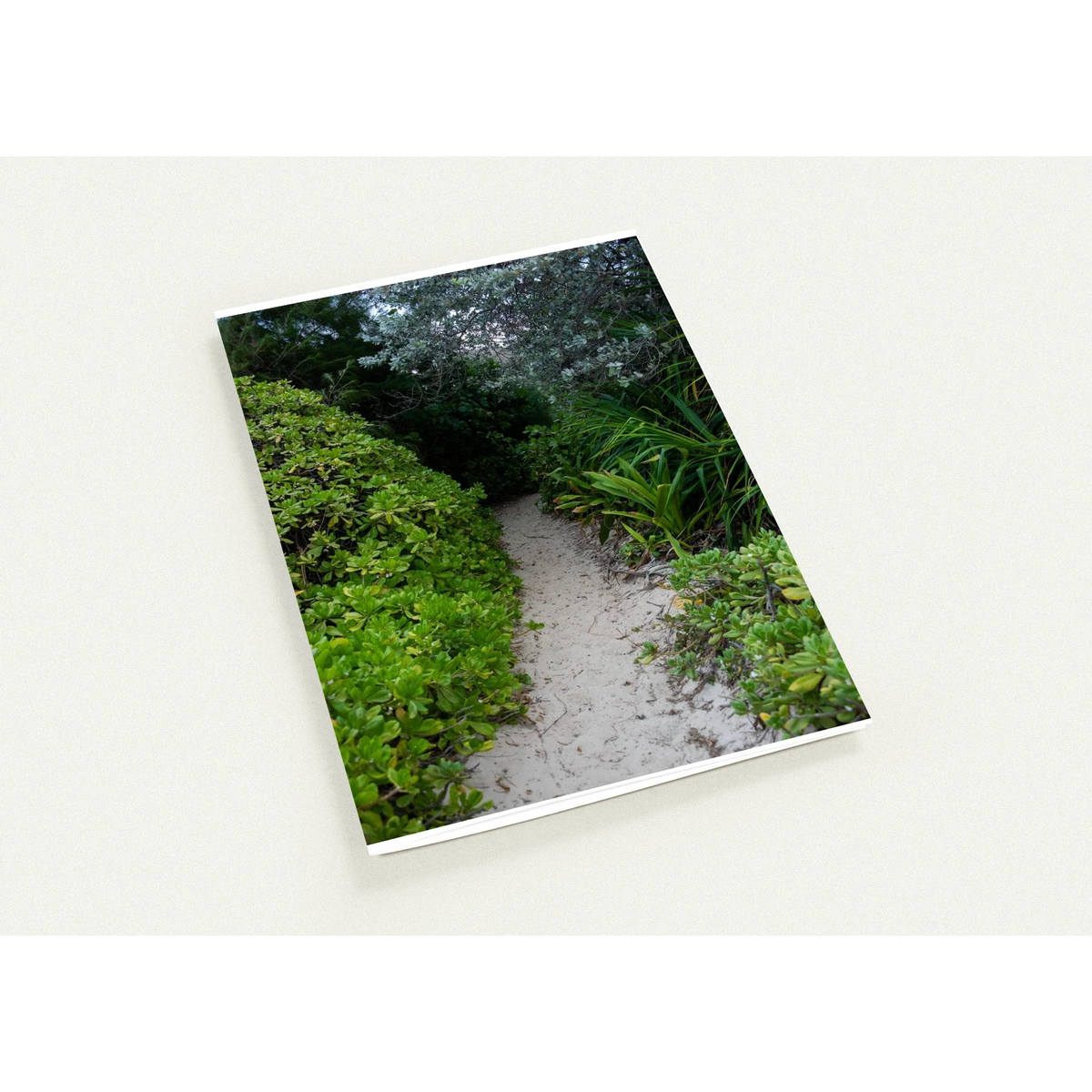 Beach & Ocean Themed Greeting Cards