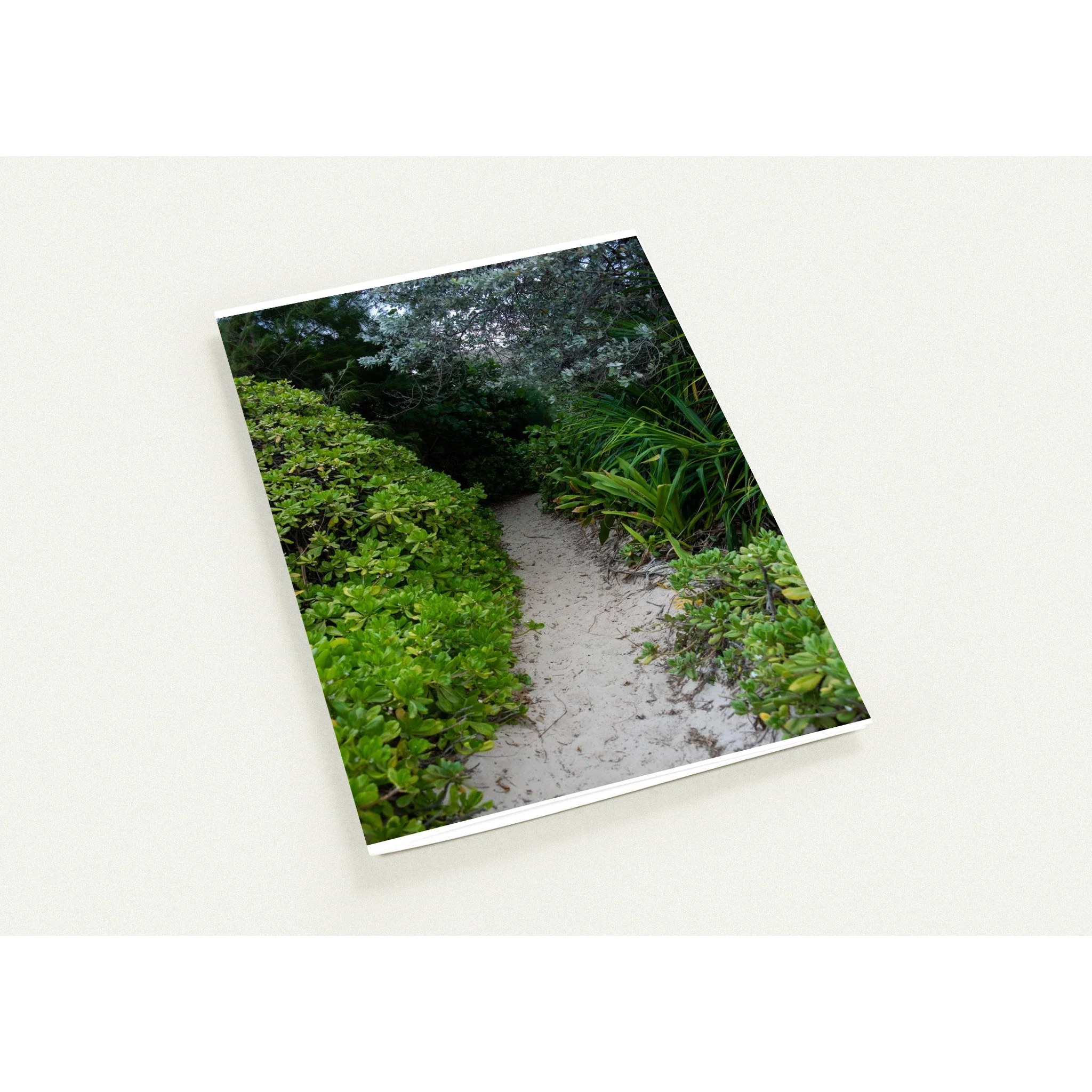 Beach & Ocean Themed Greeting Cards