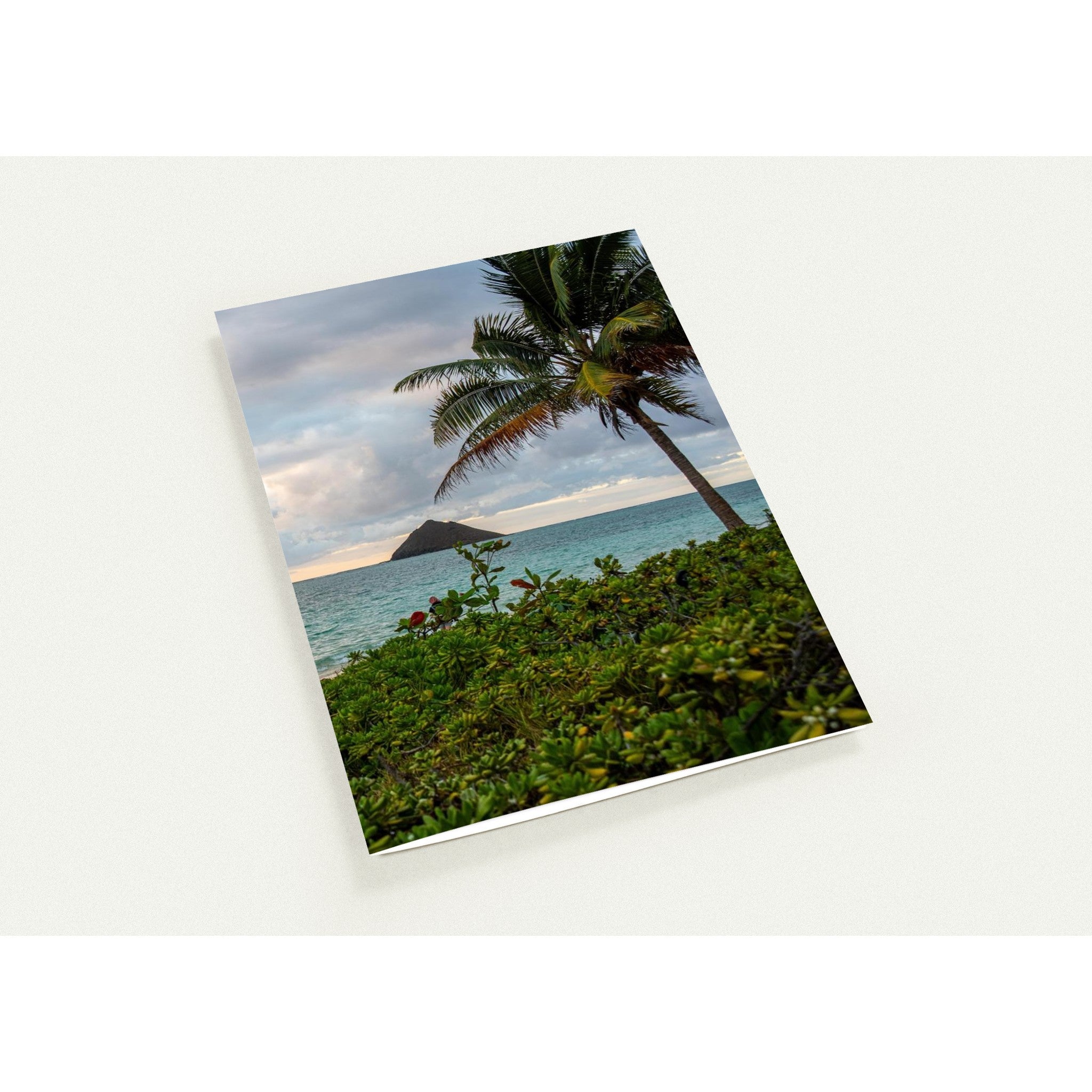 12f37511-0f87-40eb-abd4-15cb069f3e29