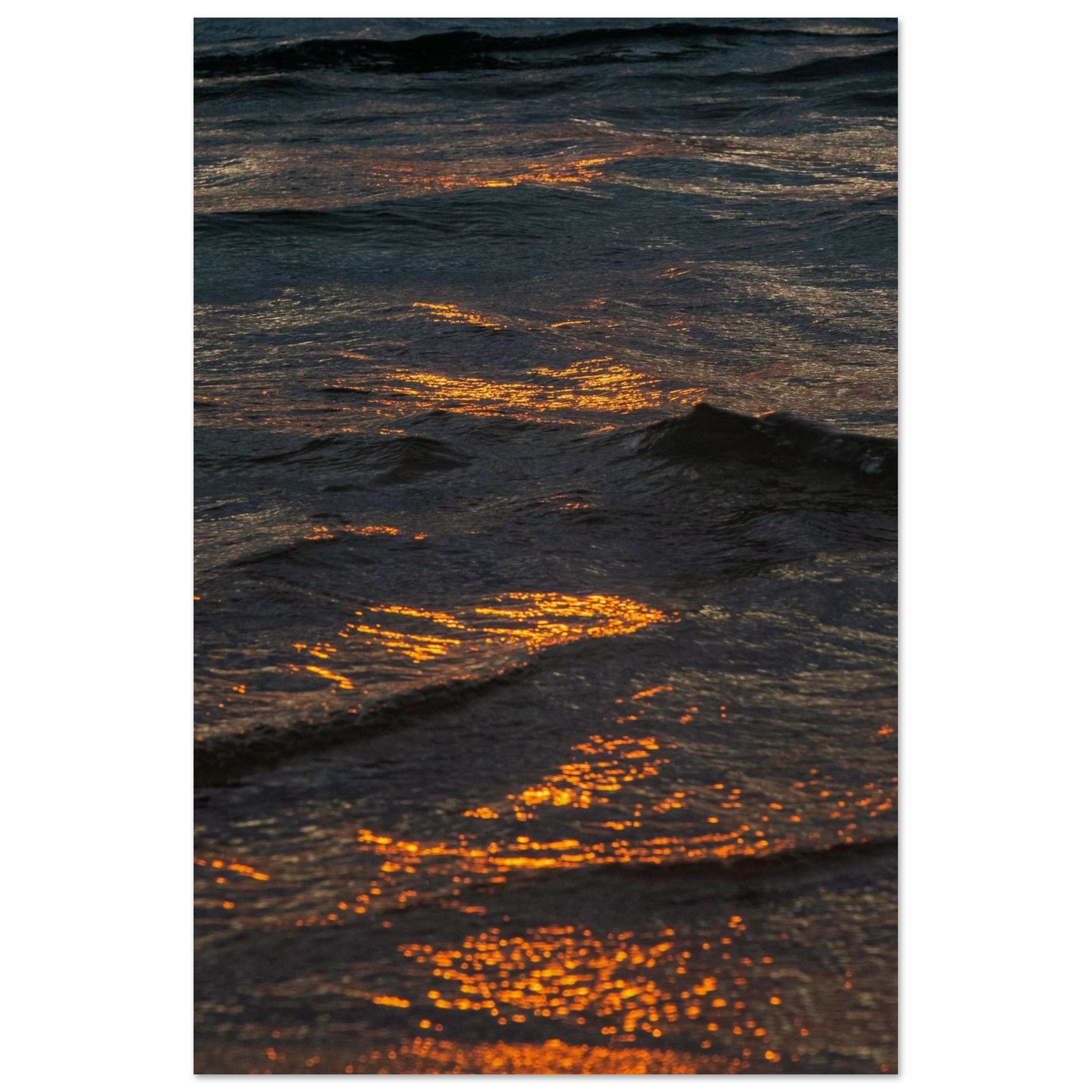 159e7a81-15d1-4bce-b7ca-4e773006f5ec