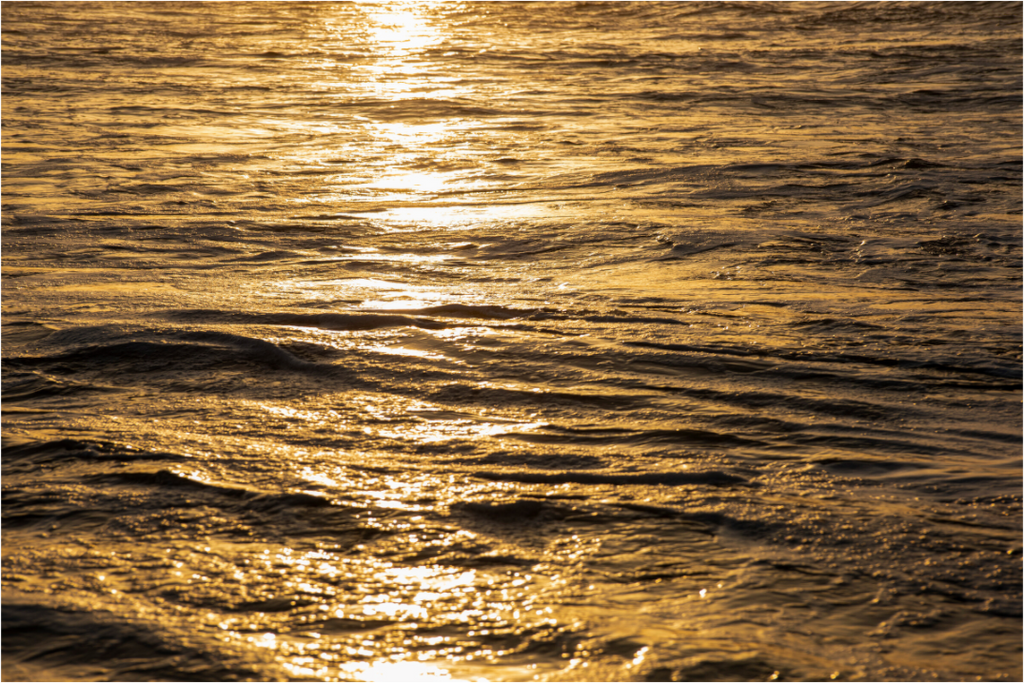 Golden Sun Glittering on the Ocean