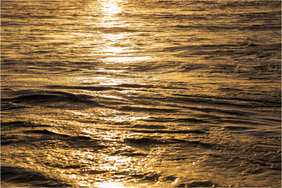 Golden Sun Glittering on the Ocean