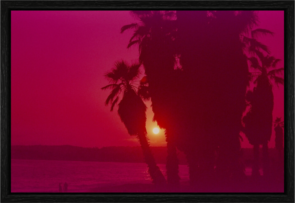 Red Sunset through the Palms