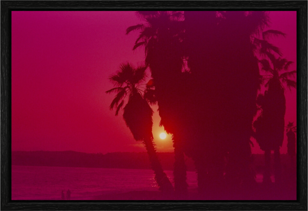 Red Sunset through the Palms