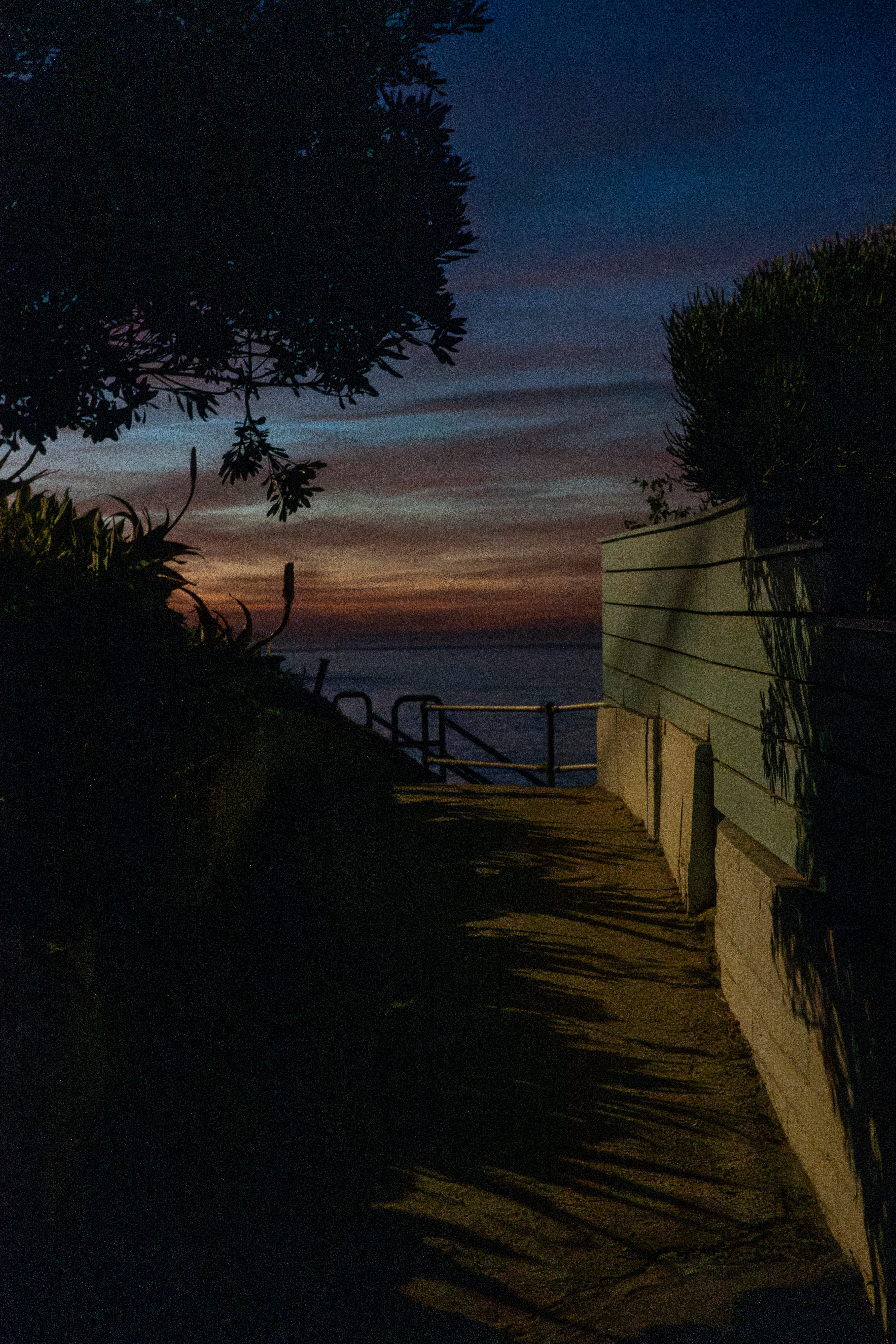 Hidden Pathway-Laguna Beach Sunrise Mounted Print