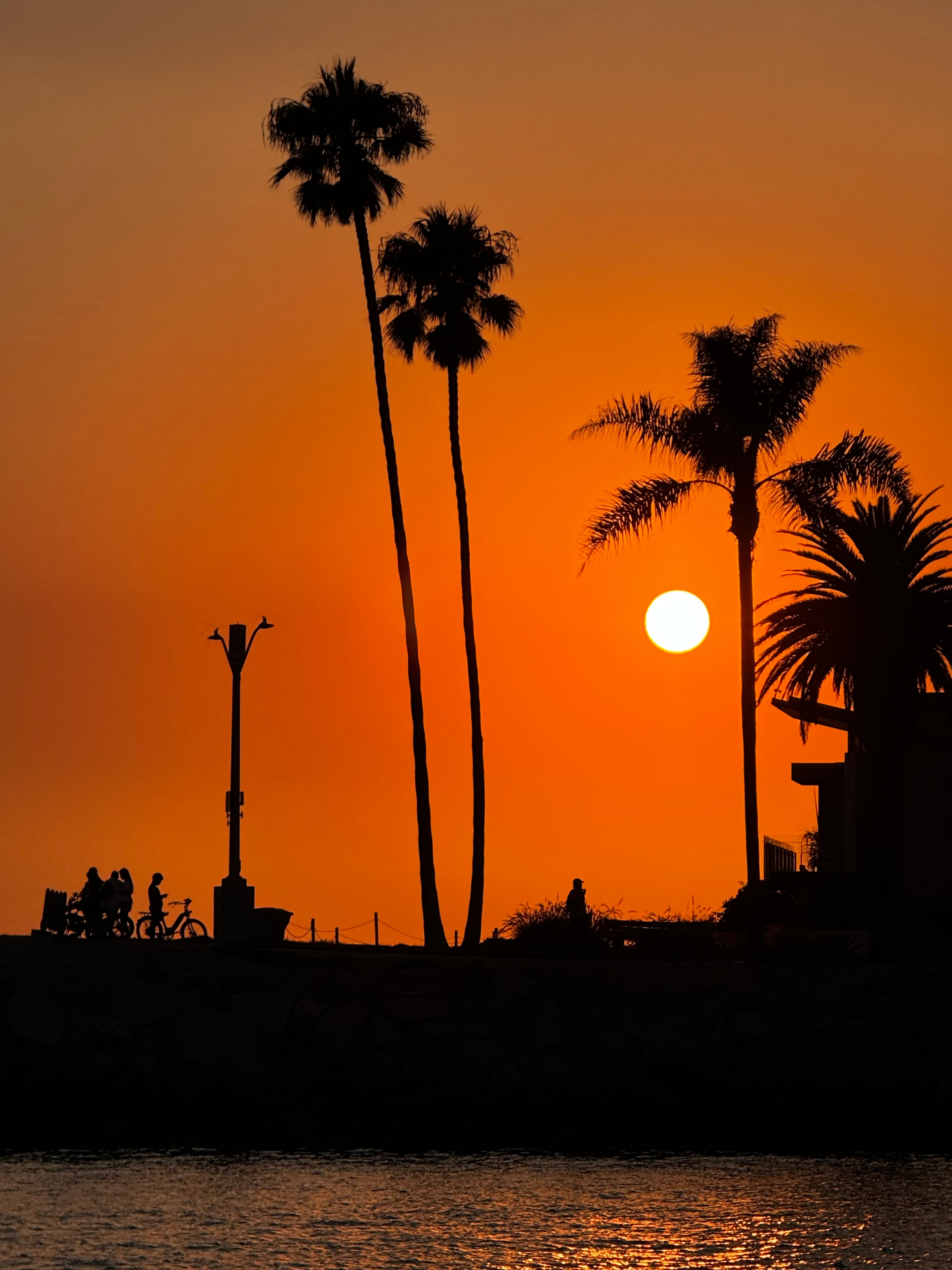 Sunset Sillhouettes