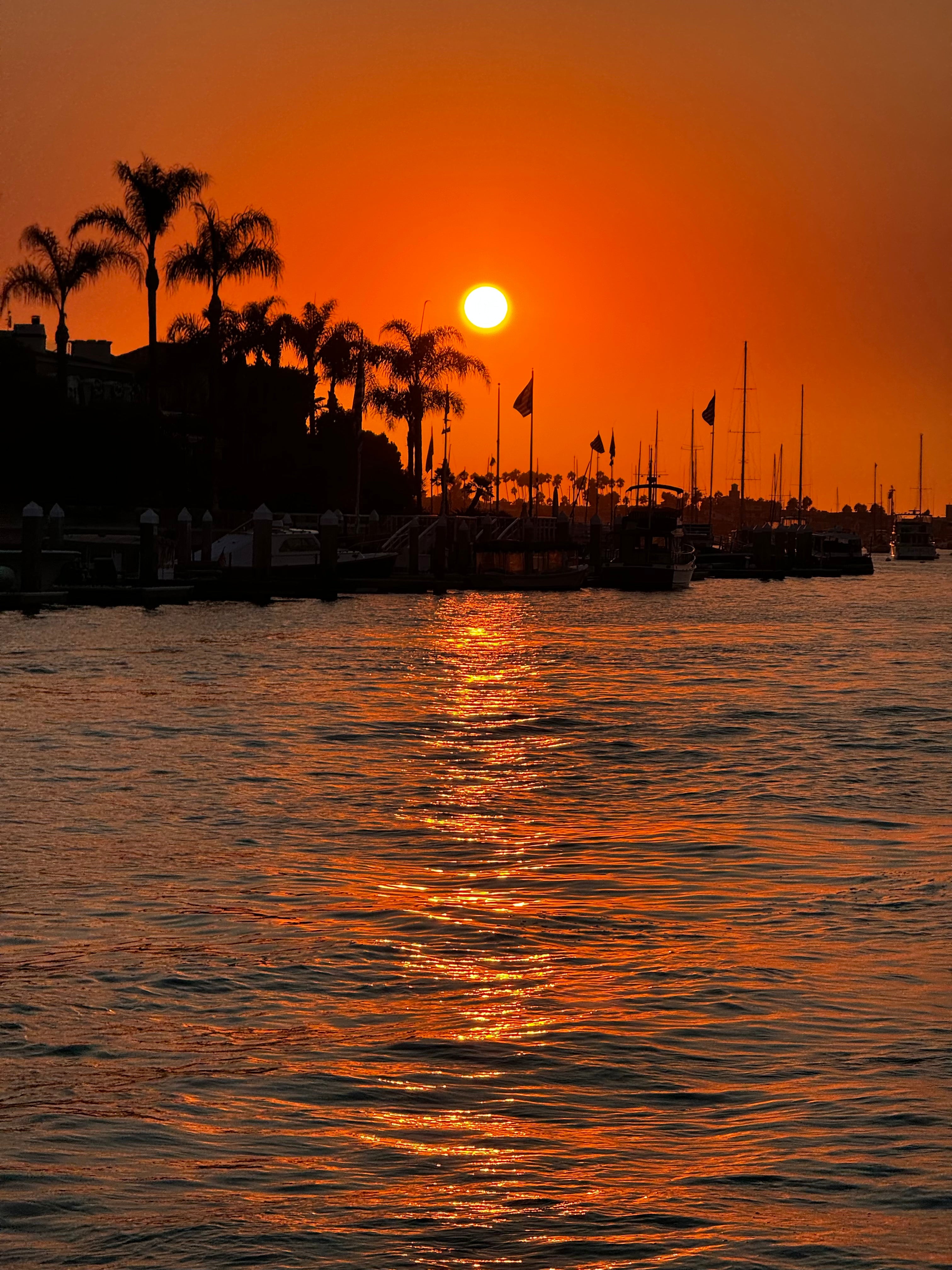 Sillhouettes in the Sunset