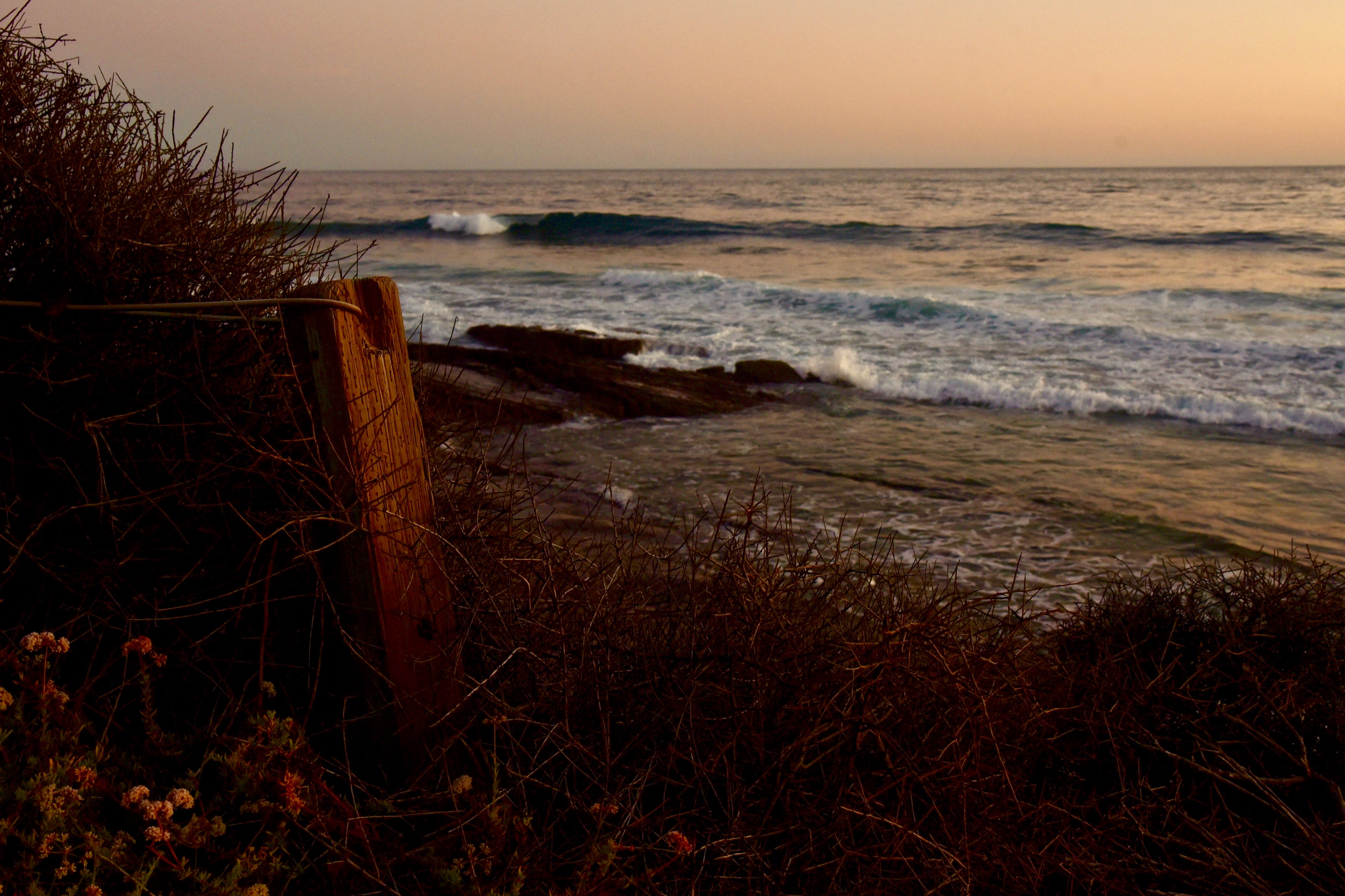 Crystal Cove Beach Sunset Wave