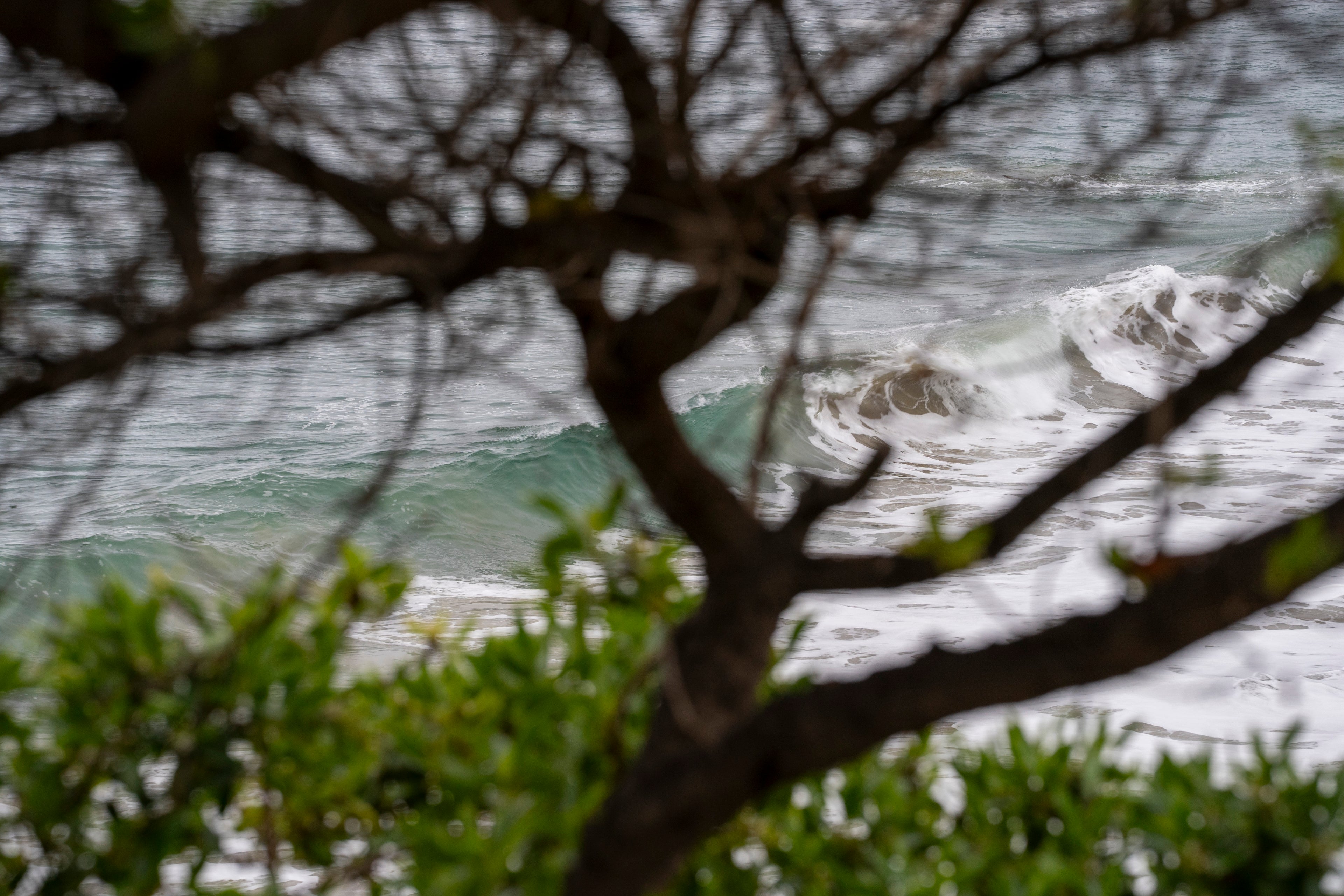 Peeking at Waves in Laguna Beach at Dawn