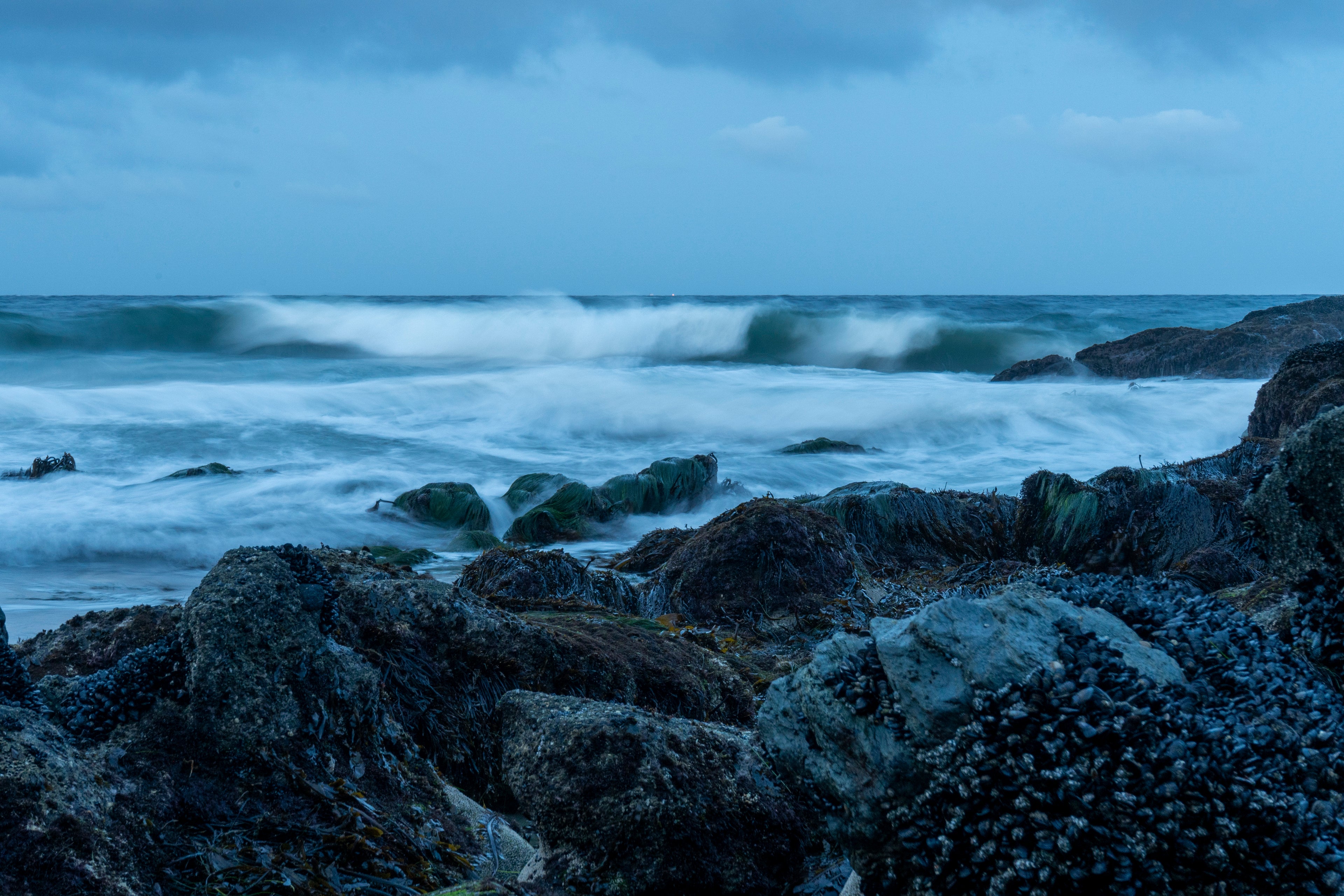 Waves Crashing at Dawn in Laguna Beach