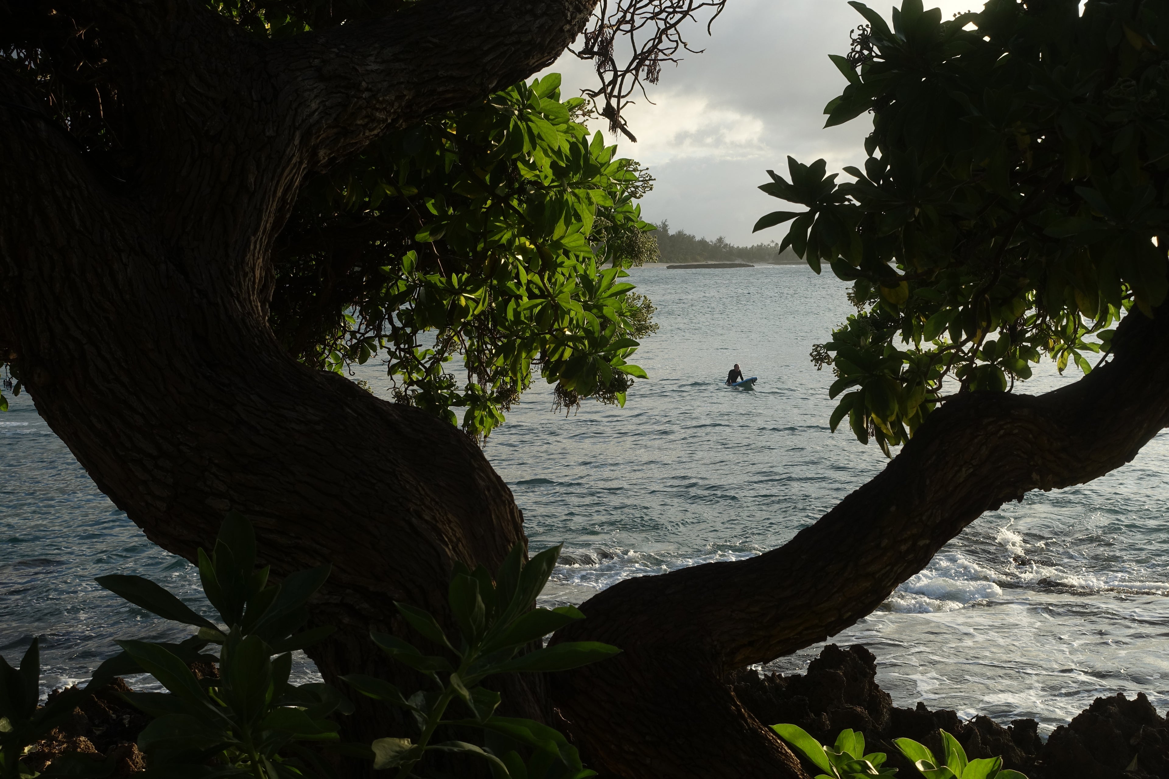 Late Evening Surf at Turtle Bay