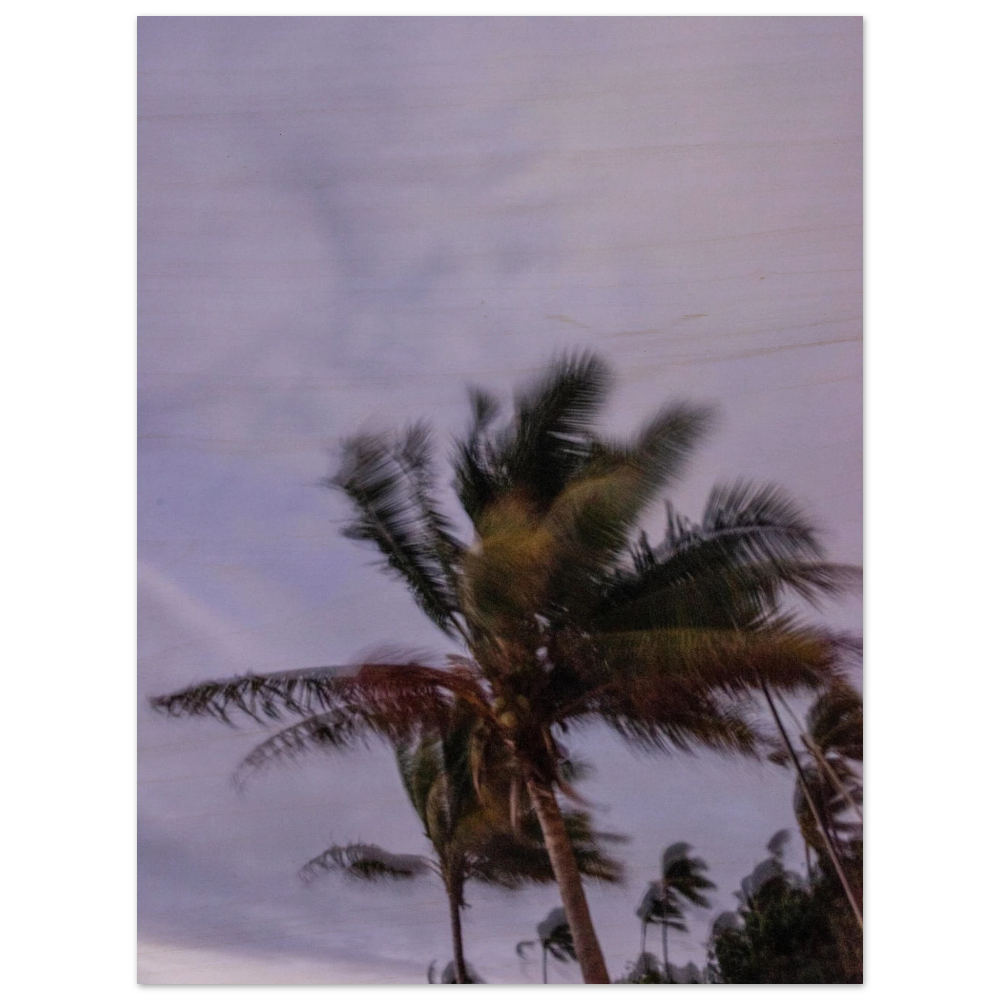 e1cc83aa-c87e-49de-b4be-ff79333d718a